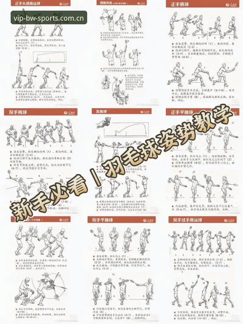 资深用户亲测:宝威体育使用教程全解析,从入门到精通的关键技巧