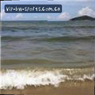 陈伟